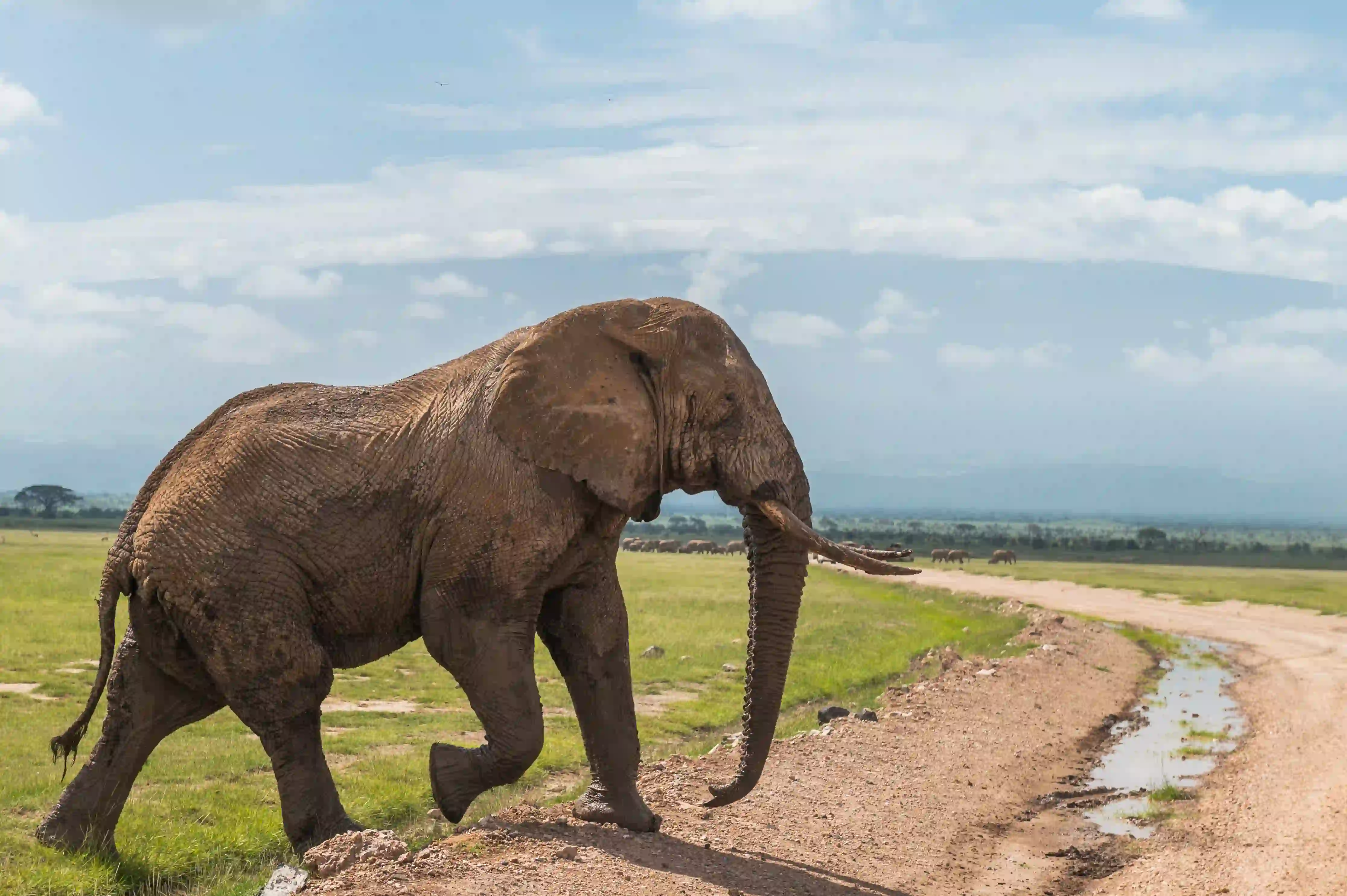 Tarangire National Park – photo 1