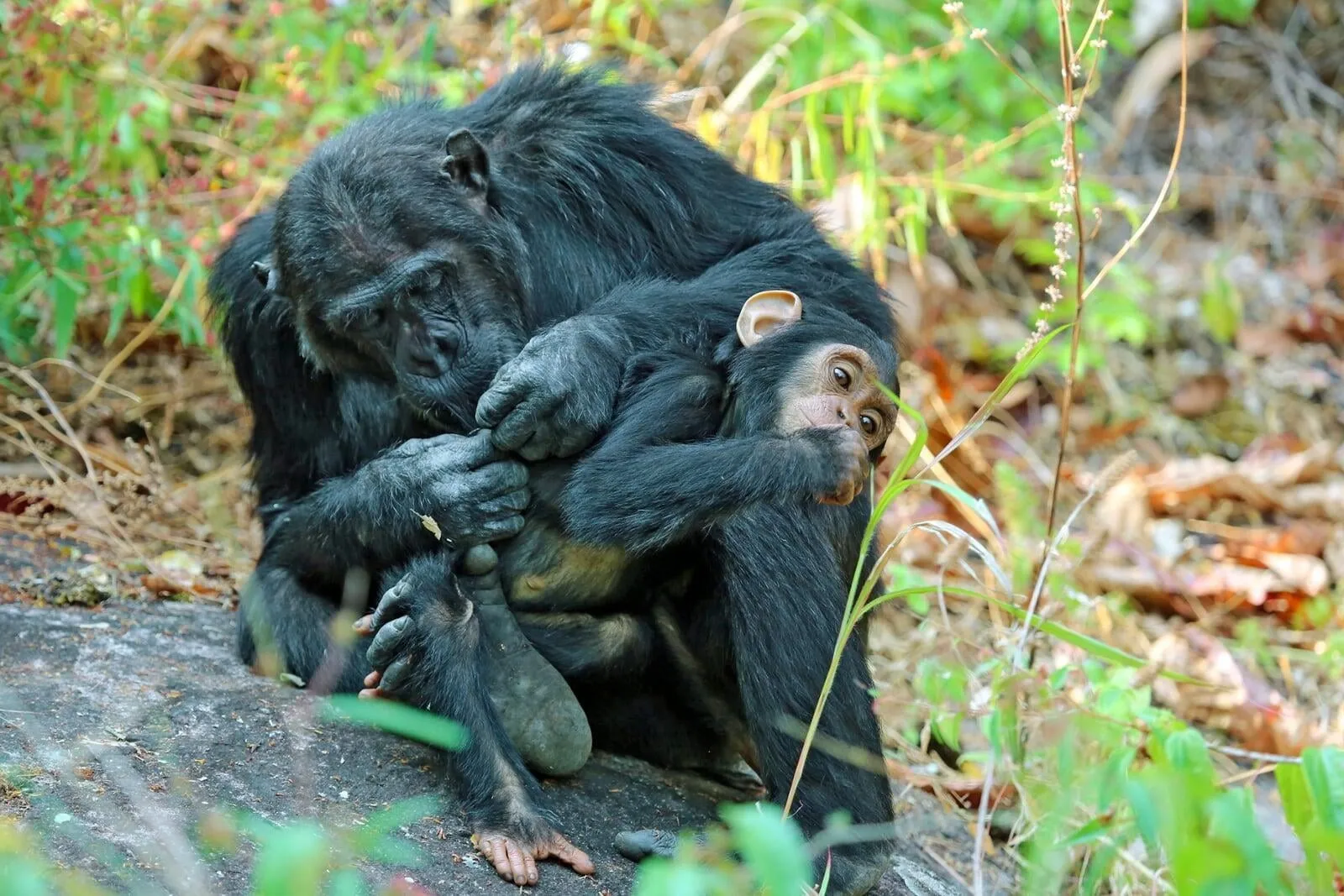 Mother and baby
