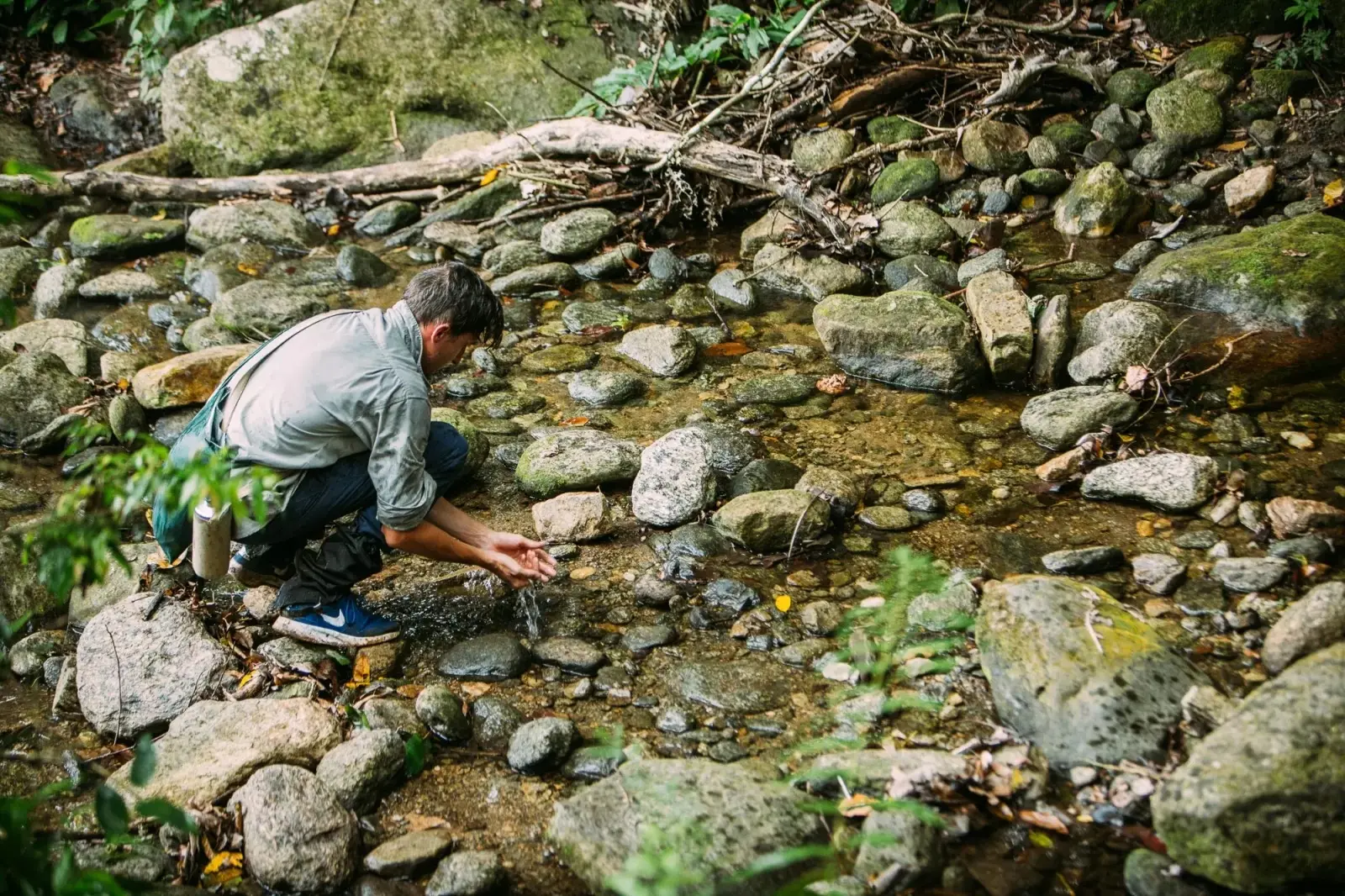 Forest streams