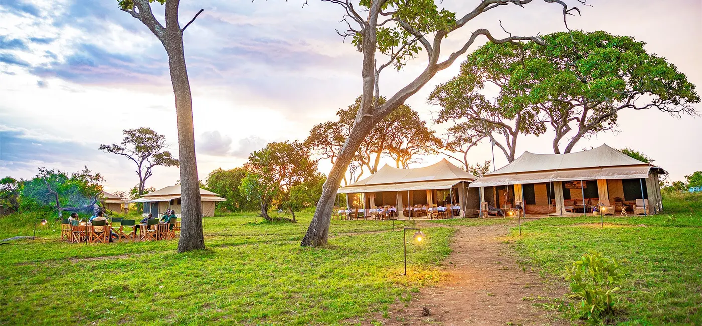 Guests gathering at a camp on the plains in the evening light