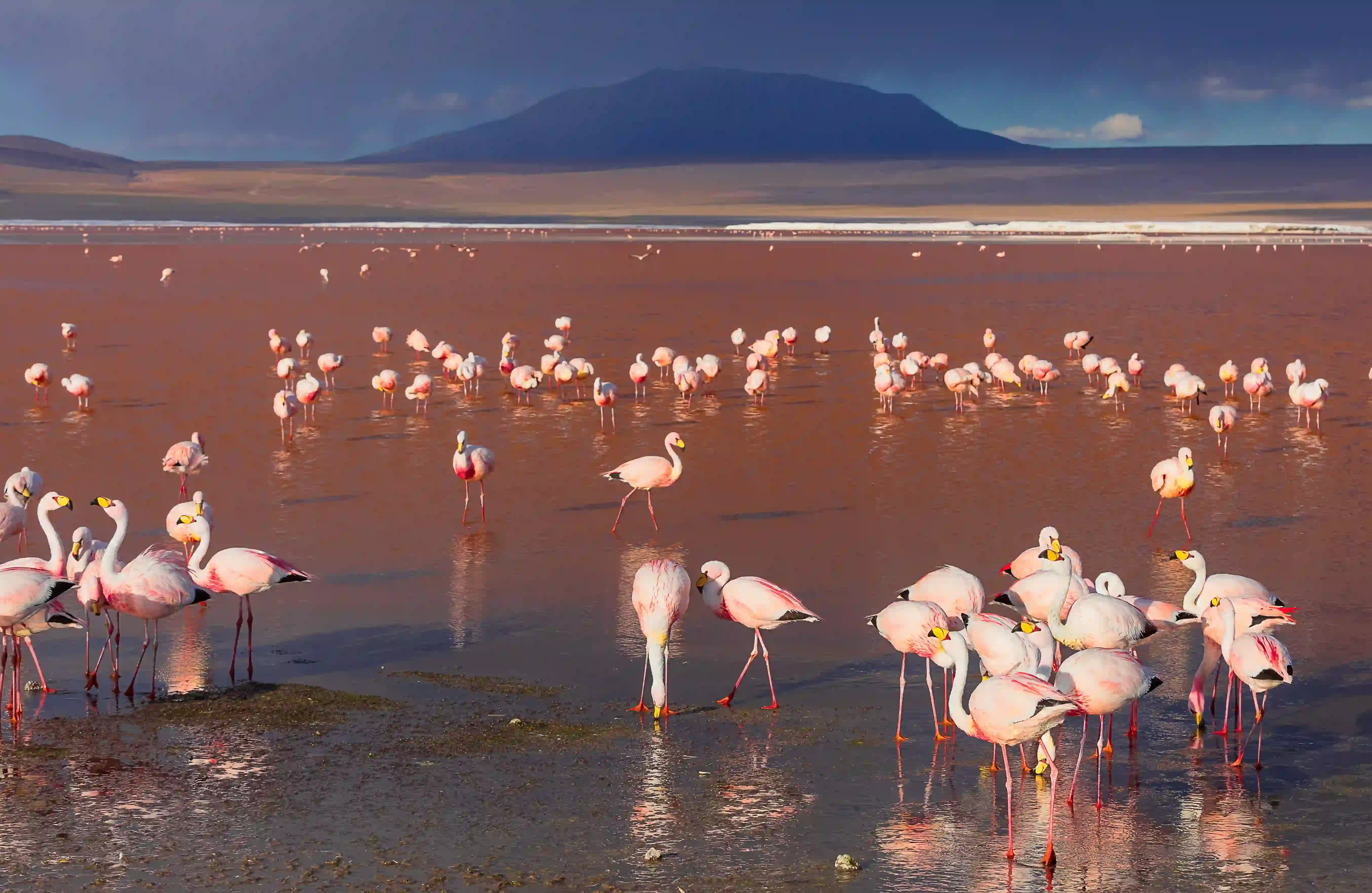 Lake Natron – photo 2