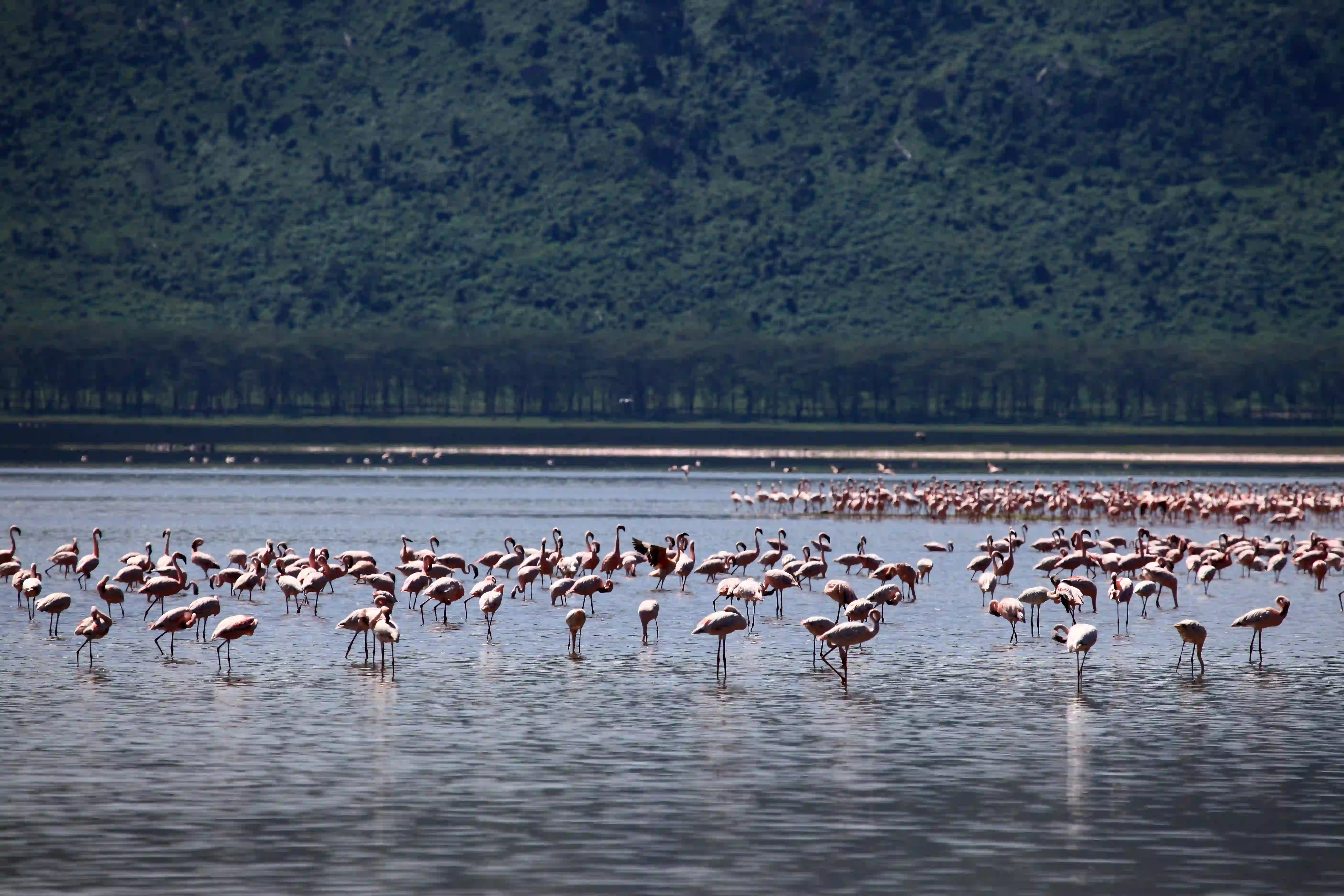 Ngorongoro Sundowners