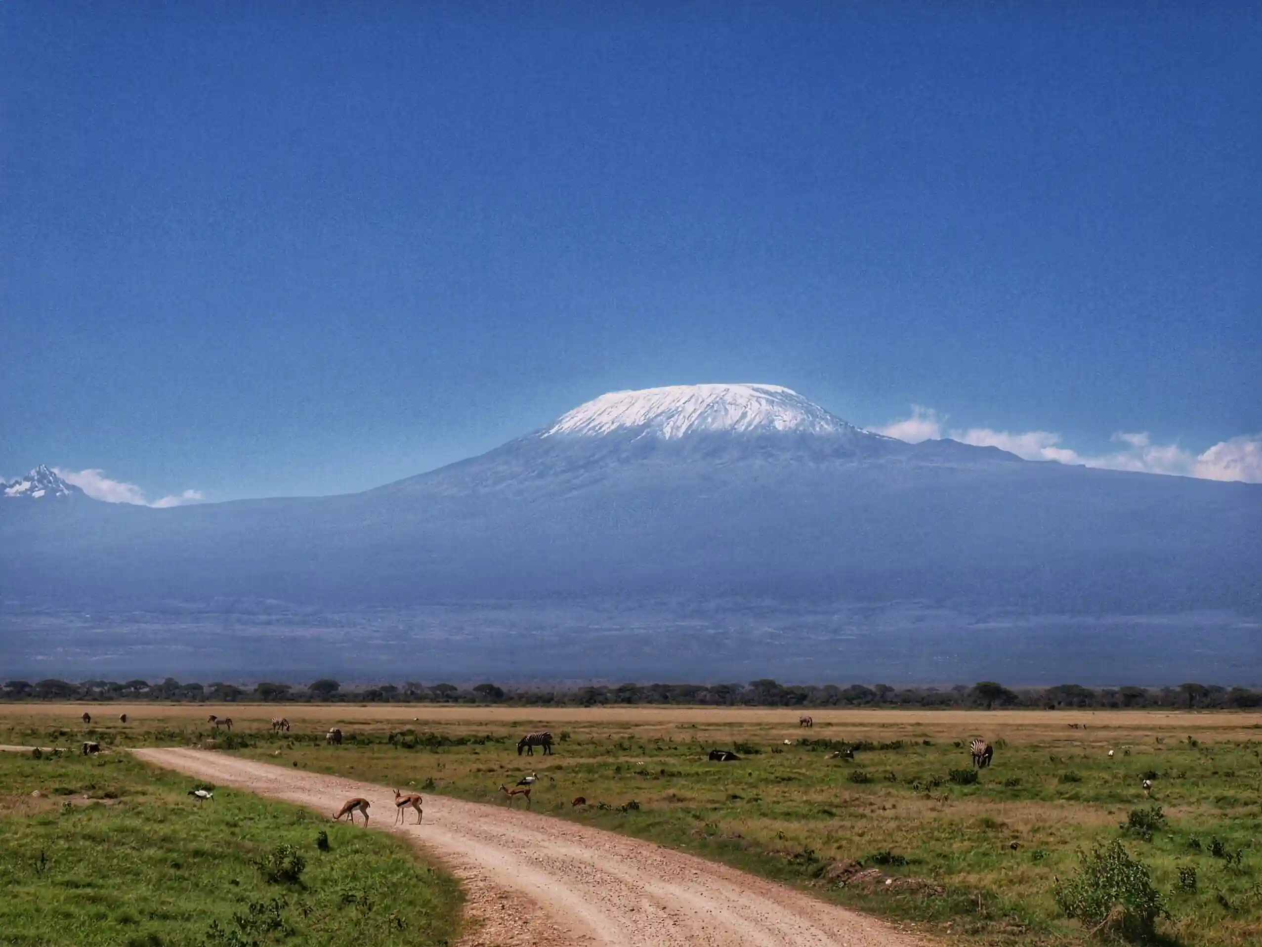 Mount Meru Climb Guide: Angel’s Complete Trekking and Safari Planning Guide – photo 5