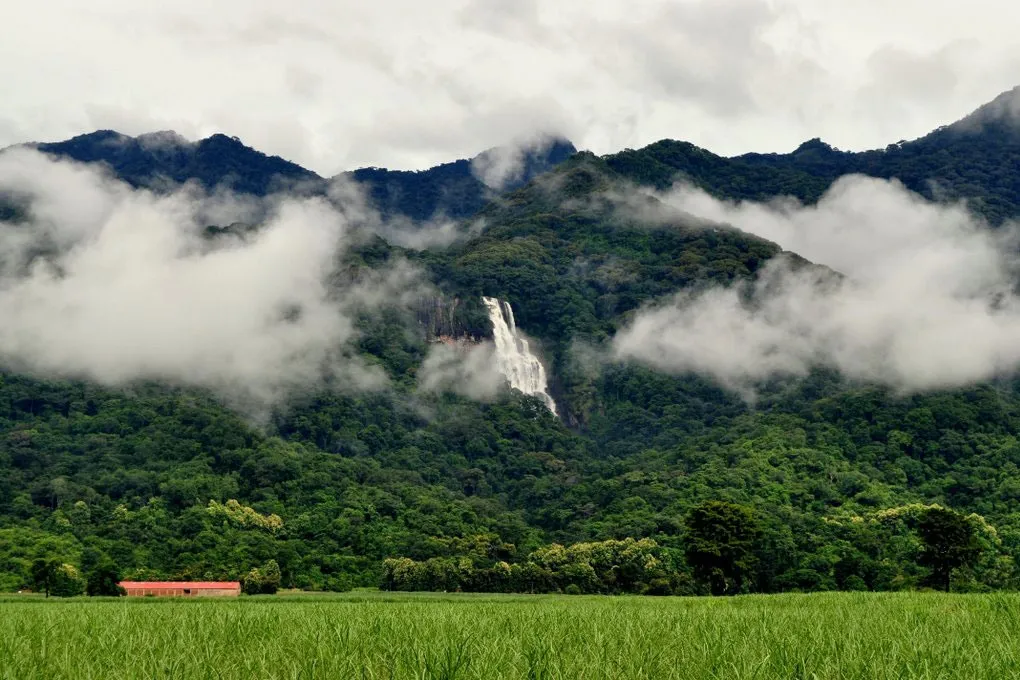 Udzungwa Mountains National Park – photo 3
