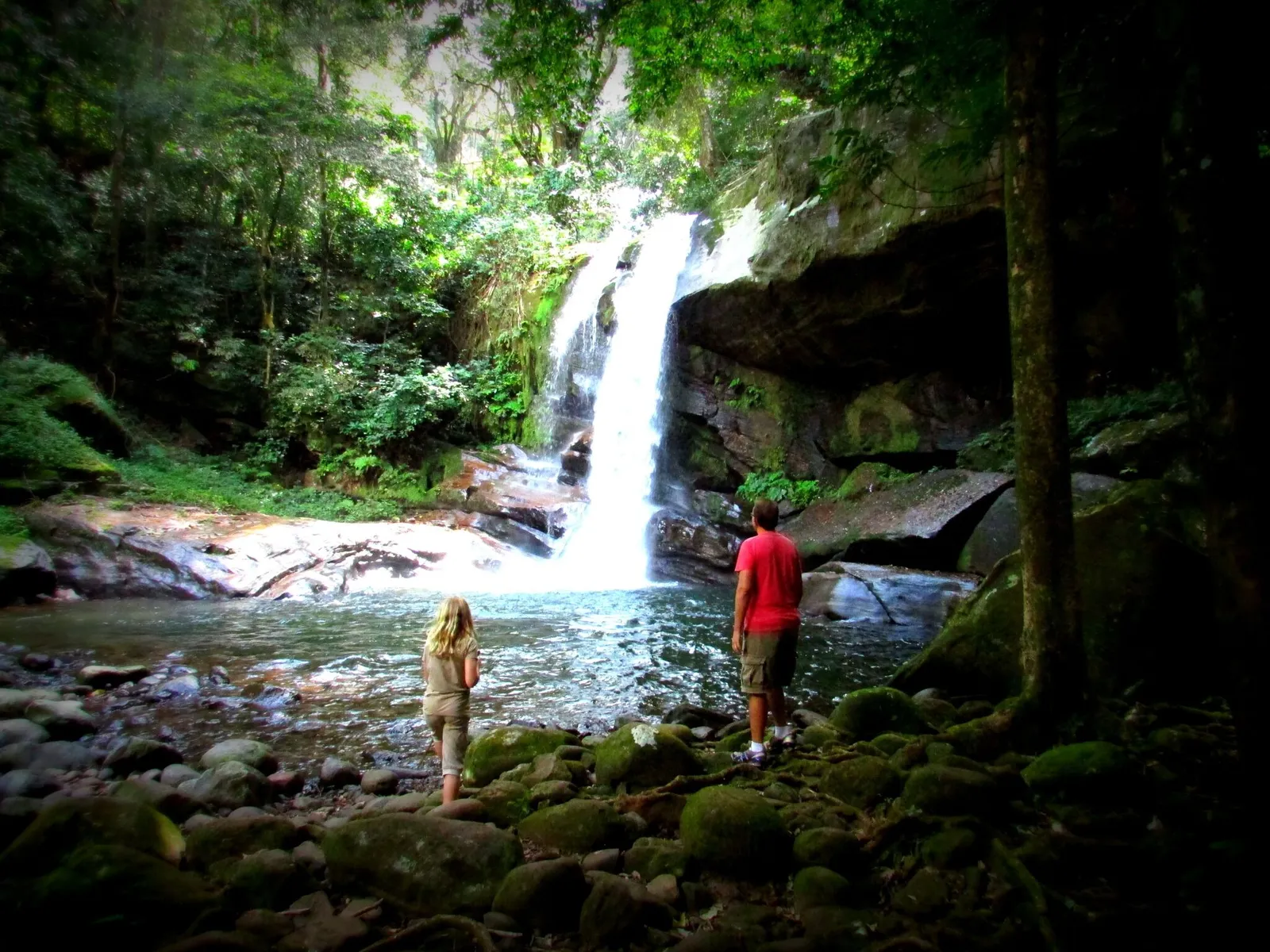 Udzungwa Mountains National Park – photo 1
