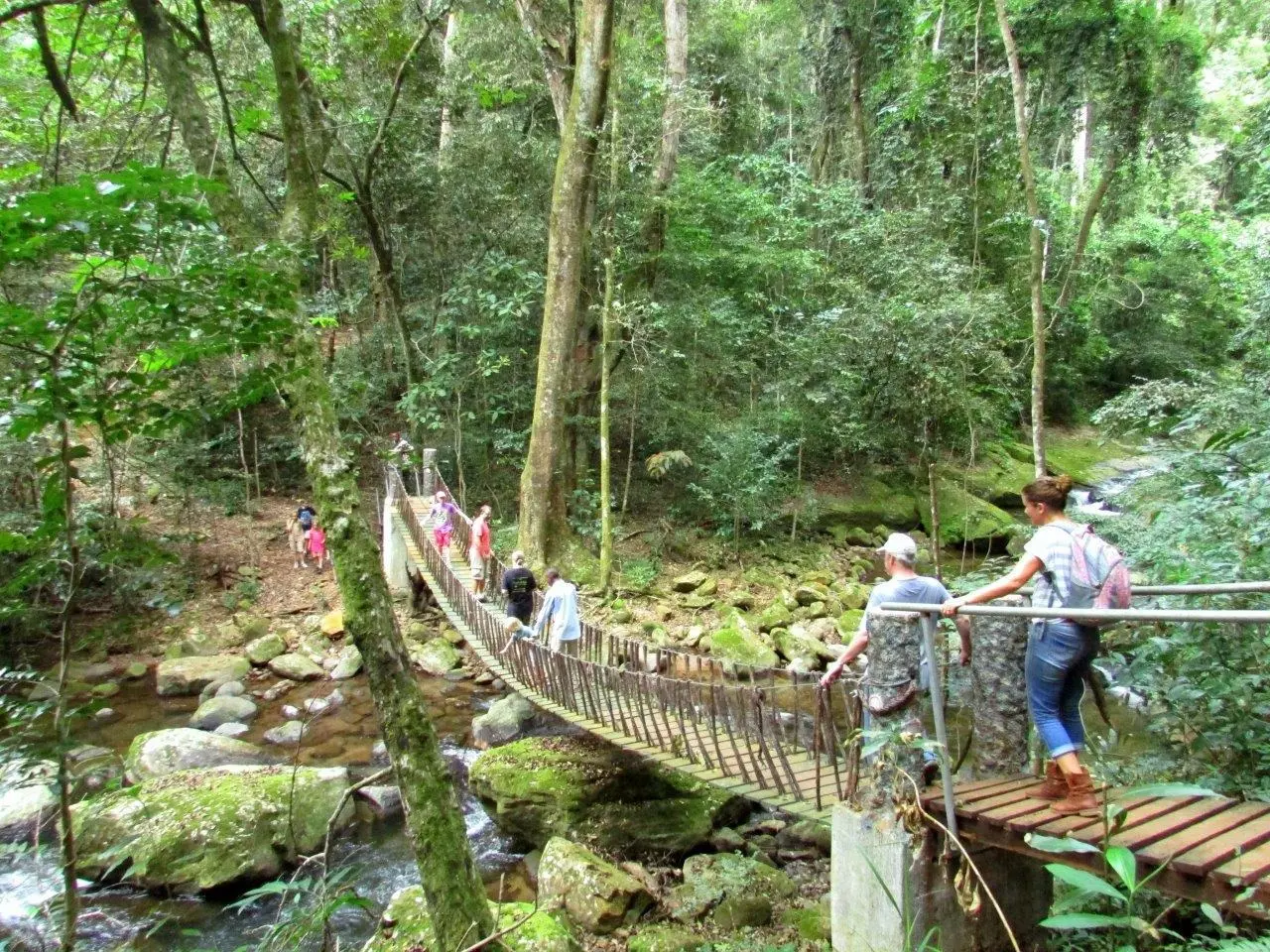 The suspension bridge