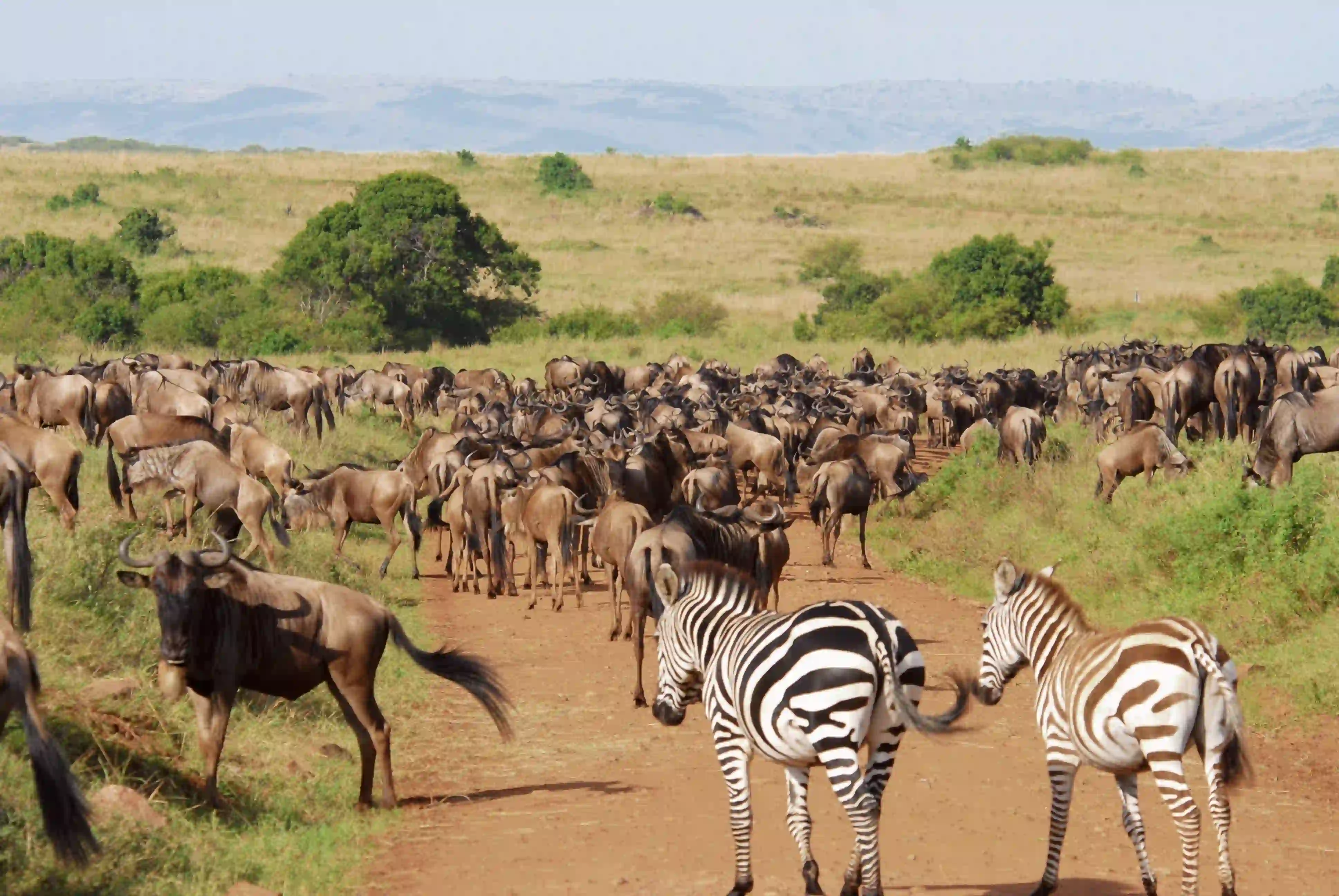 Serengeti National Park – photo 3