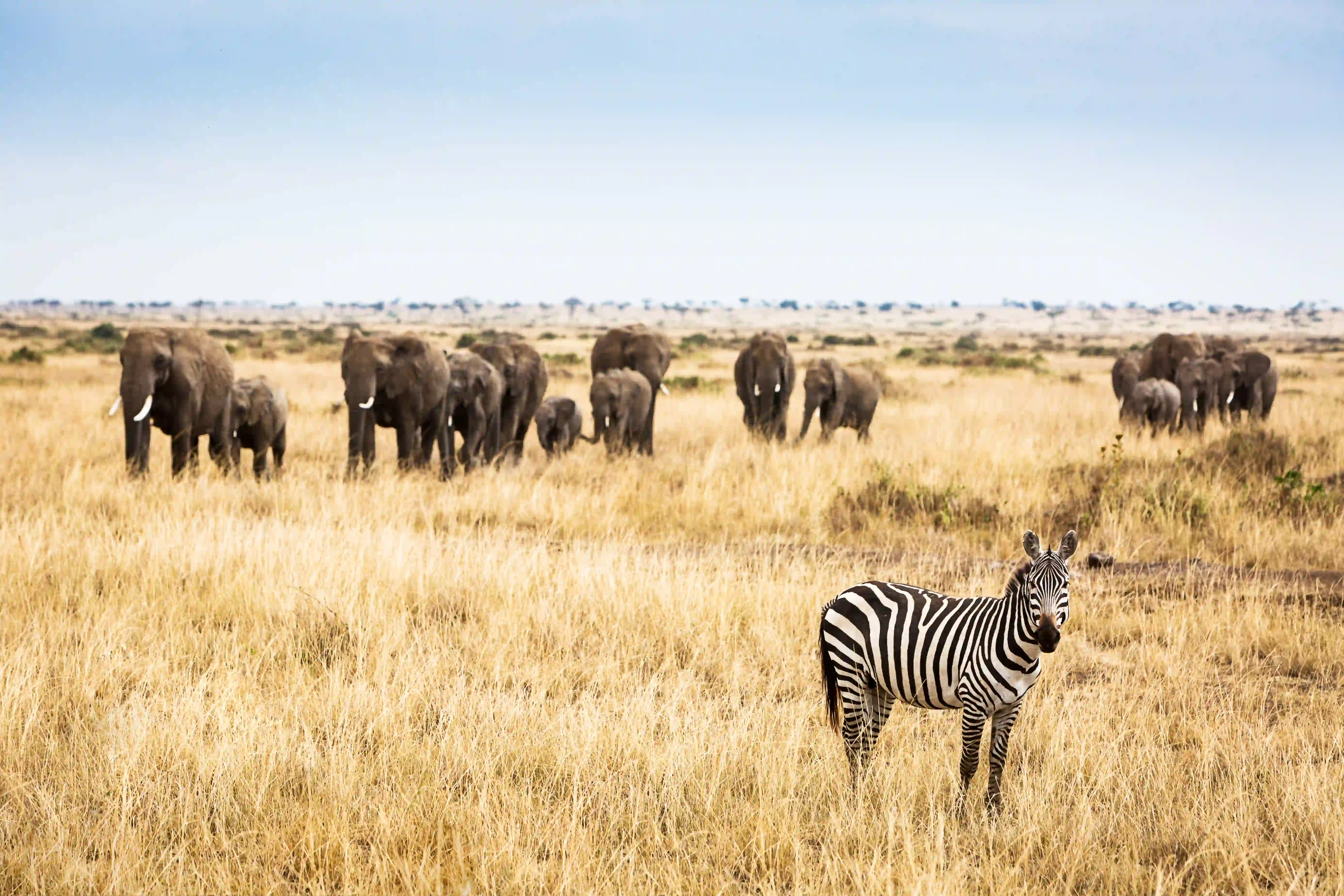Tarangire National Park – photo 3