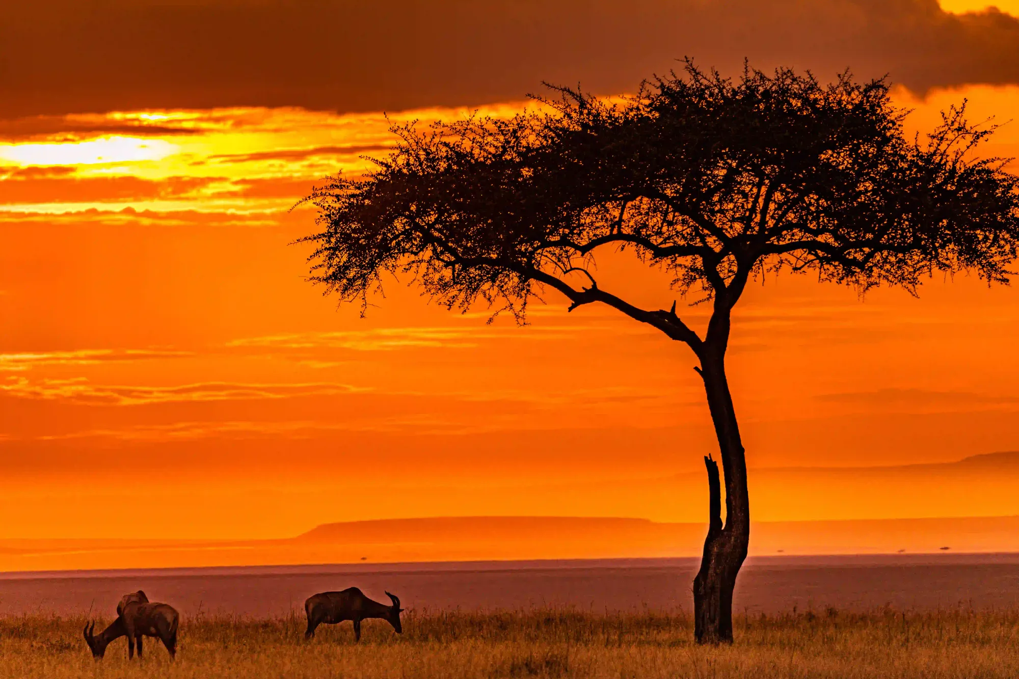 Is Tanzania Safe for Safari? Angel’s Complete Guide – photo 6