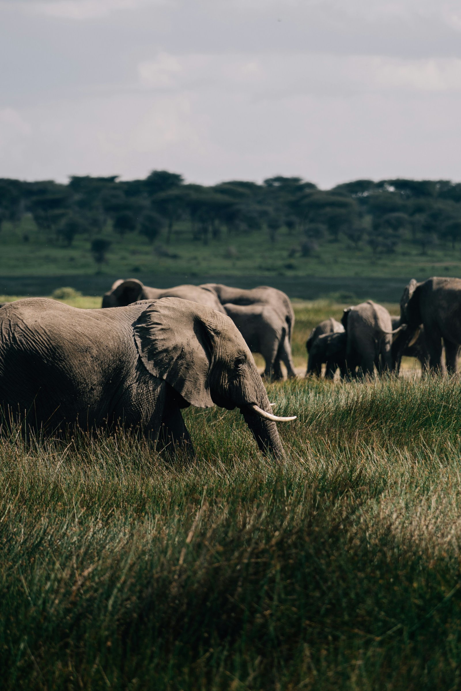 Northern Circuit Trekking Package