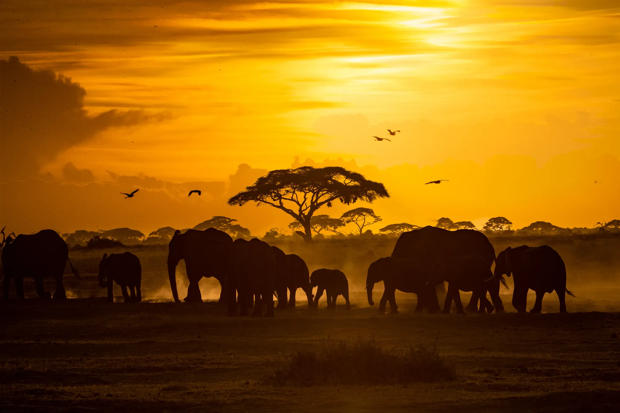 Ngorongoro Crater