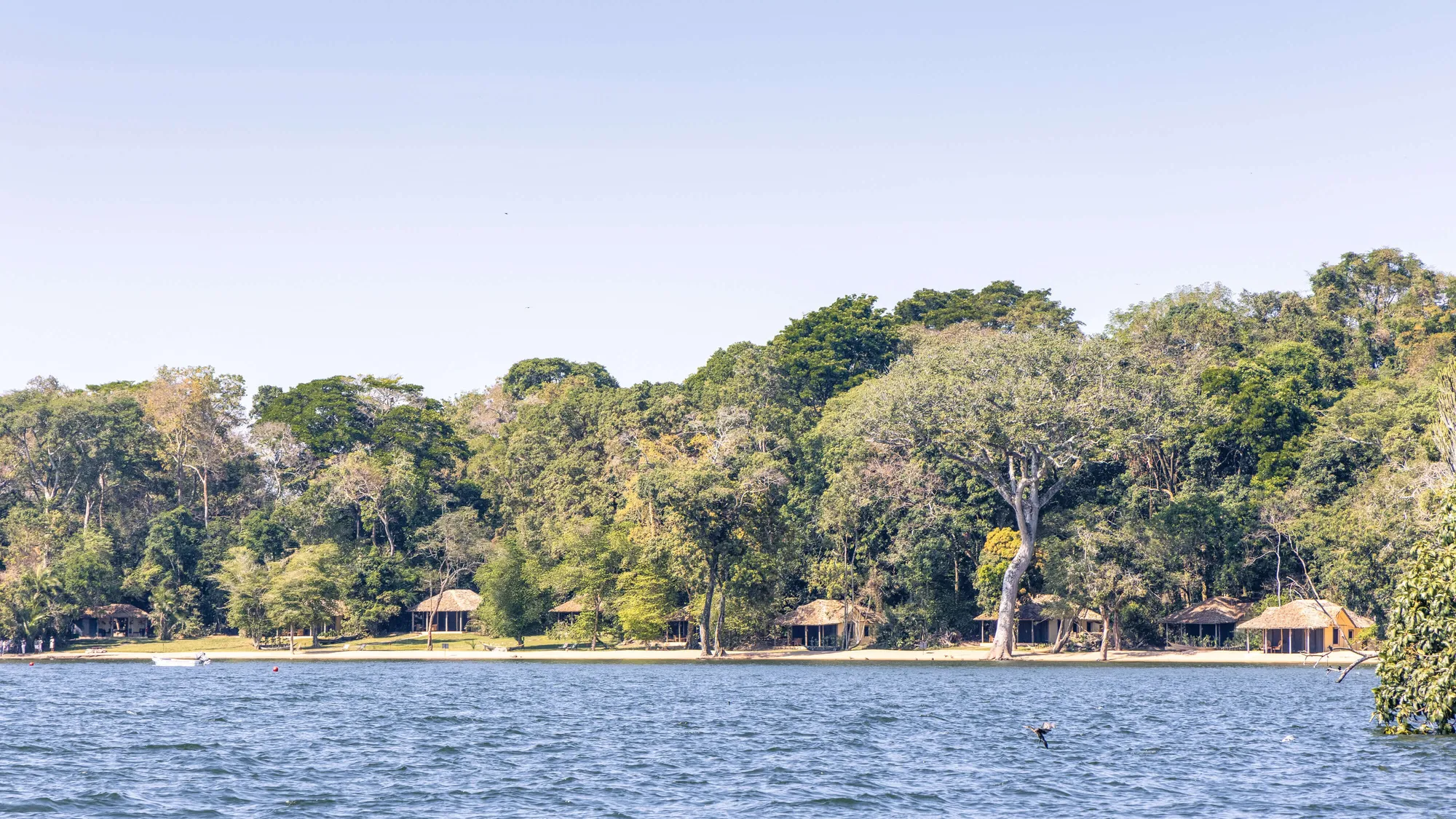 The forested shore of Rubondo Island seen across calm Lake Victoria